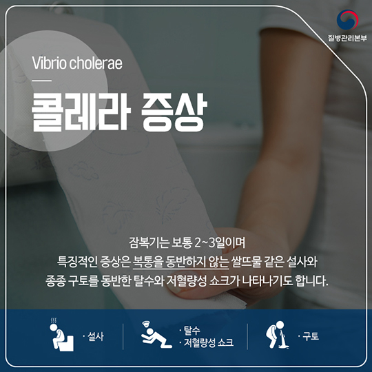 콜레라 증상 및 예방법