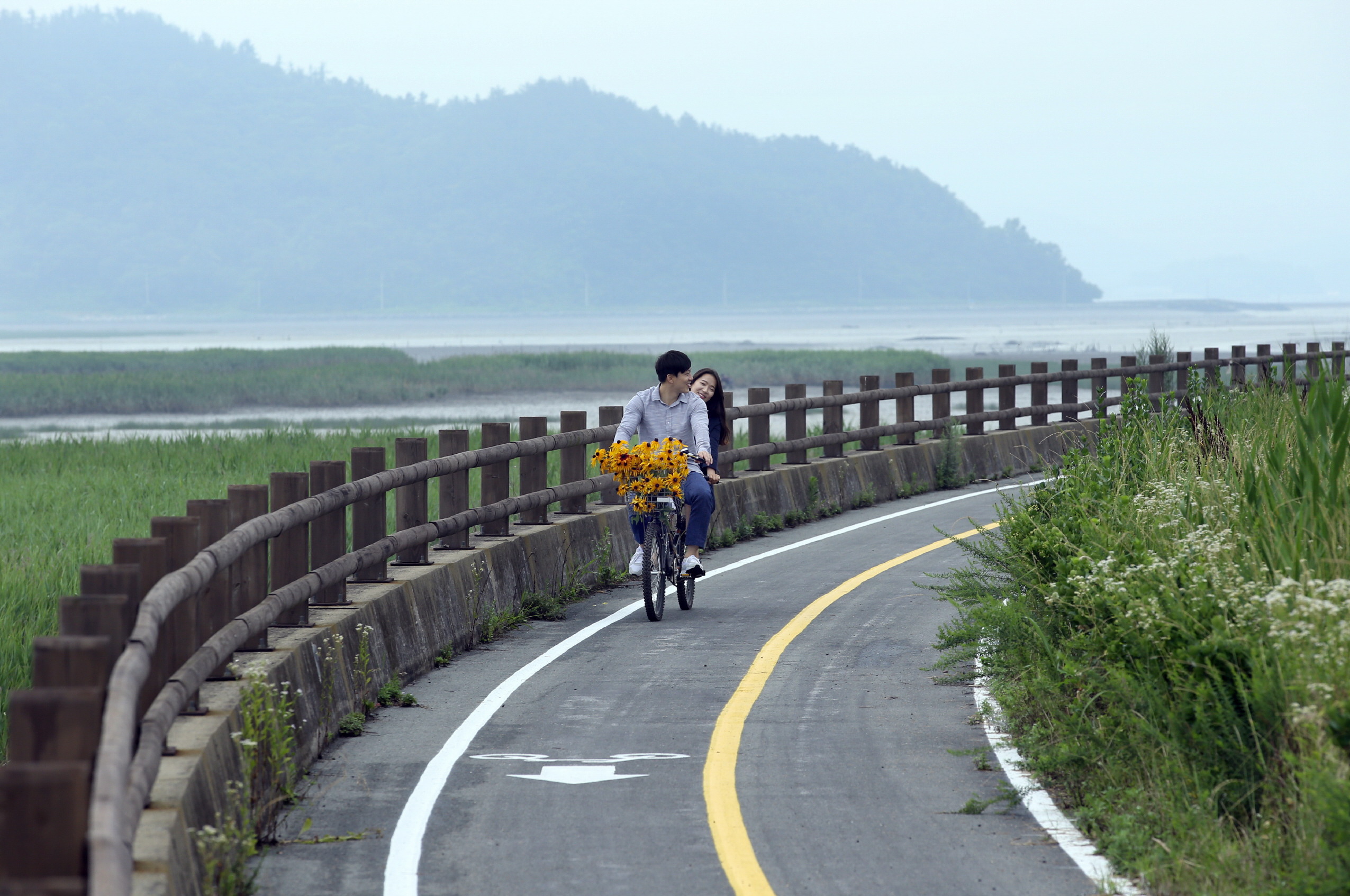 왼쪽엔 갈대숲이 오른쪽엔 코스모스. 자전거를 타도 좋겠다. 강진만의 바닷바람은 다르다.