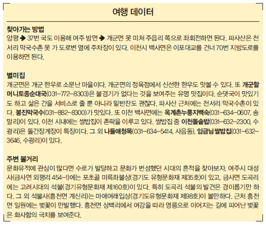 여행 데이터