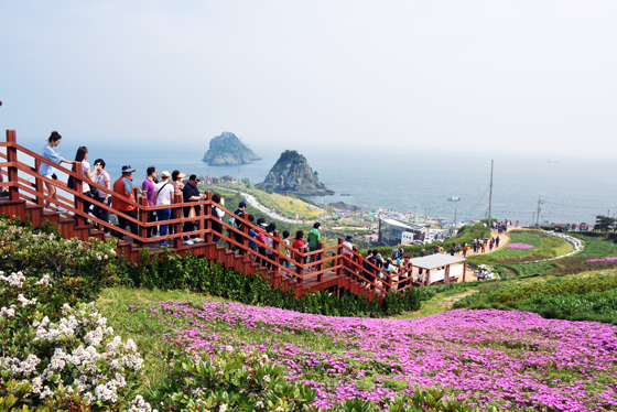 오륙도의 아름다운 해안절경과 함께 봄꽃이 상춘객들의 발길을 이끈다. (사진 = 부산광역시 남구)