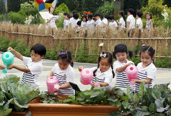 고용노동부는 지난해 직장어린이집 설치의무 실태조사결과 전년보다 28.8% 증가한 81.7% 이행률을 보였다고 밝혔다. 사진은 수확체험하고 있는 용산구청 직장어린이집.