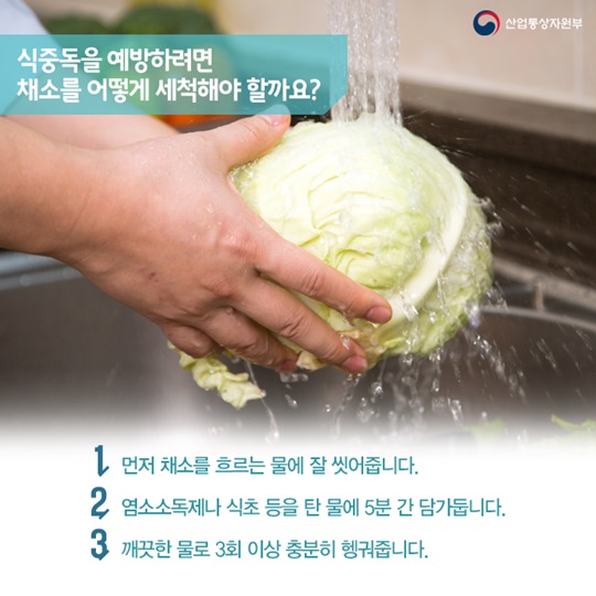 여름 불청객