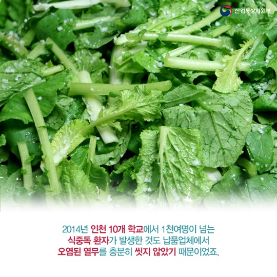 여름 불청객