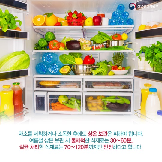 여름 불청객