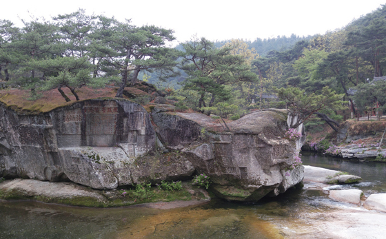 수승대의 ‘거북바위’는 거북이의 형상을 닮았다 하여 붙여진 이름으로 거창의 명소다.