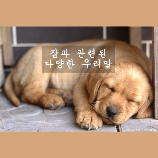 잠과 관련된 다양한 우리말