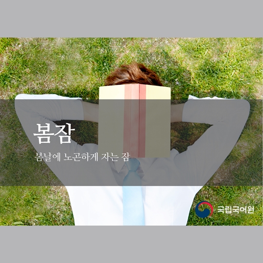 잠과 관련된 다양한 우리말