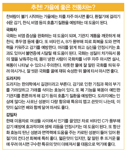 추천! 가을에 좋은 전통차는