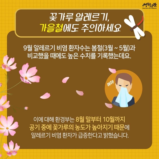 기침 나고 눈이 따갑다면?…가을철 꽃가루 알레르기 ‘주의’