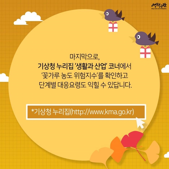기침 나고 눈이 따갑다면?…가을철 꽃가루 알레르기 ‘주의’