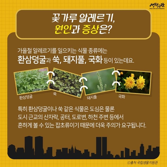 기침 나고 눈이 따갑다면?…가을철 꽃가루 알레르기 ‘주의’