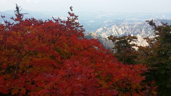 올해 첫 단풍이 든 설악산의 모습.