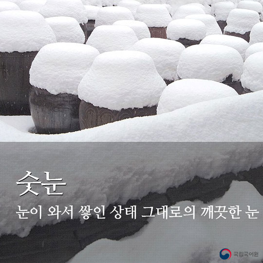 눈과 관련된 우리말