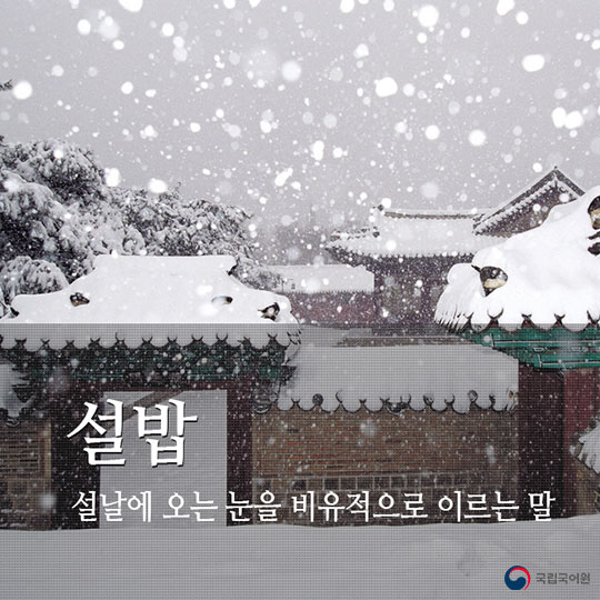 눈과 관련된 우리말