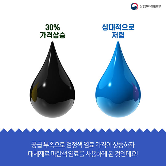 파란 영수증, 너의 정체는?