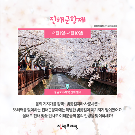 꽃 피는 봄이 왔나봄!···전국 봄꽃 축제 총정리