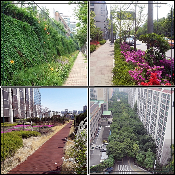 서울시가 제공한 사업들, (위 좌부터 시계방향으로) 벽면녹화 도봉구 누원초, 띠녹지 강남구 신사로 , 옥상정원 서울고등법원 옥상, 가로수길 노원구
