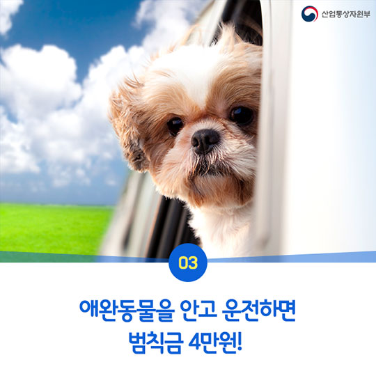 운전자도 잘 몰랐던 교통법규 5가지