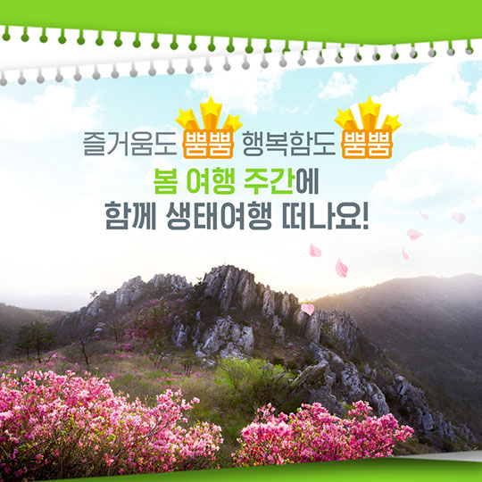 어린이날 연휴, 할인 받고 생태 여행 가즈아~