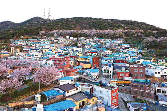 해돋이마을은 봉래산 둘레길 관광객들이 꼭 찾는 명소다. 마을의 전체 전경(사진=부산 영도구청)