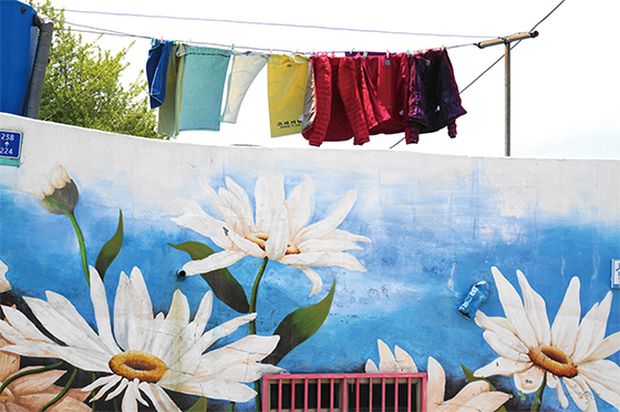 해돋이 마을 골목골목에 마련된 쉼터와 꽃으로 그려진 마을 벽면(사진=부산 영도구청)