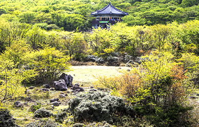 6월의 가볼만한 곳, 람사르습지
