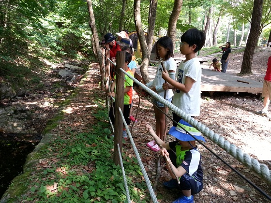 경북 영양군 검마산자연휴양림.
