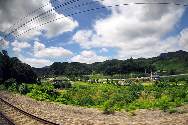 고향으로 향하는 열차의 창밖 풍경