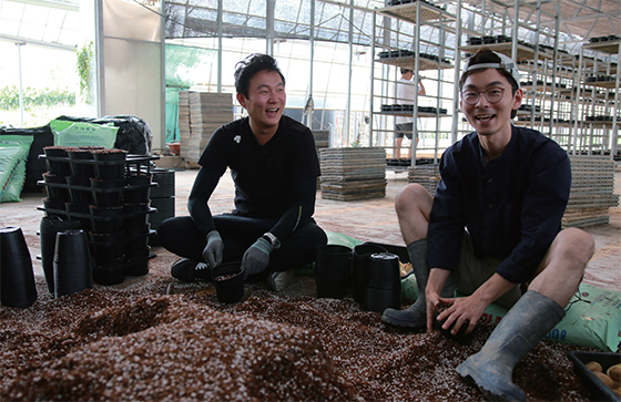 육묘장에서 꼬마감자를 심고 있는 박영민(왼쪽)· 권민수(오른쪽) 대표. 이들은 유휴시설인 육묘장을 활용해 생산성과 경제성 두 마리 토끼를 잡을 수 있었다. ⓒC영상미디어