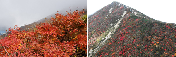 중청대피소 인근과 드론으로 중청대피소에서 촬영한 대청봉(해발1676m).