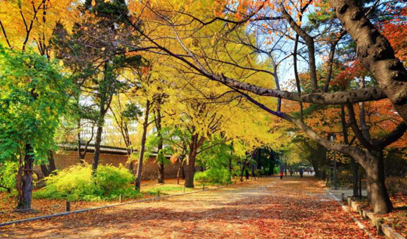 덕수궁 입구 가을 절경. (사진=문화재청)