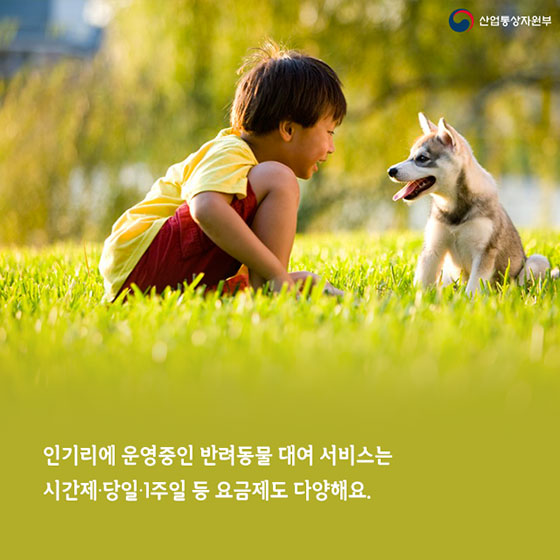 아저씨 빌려드립니다