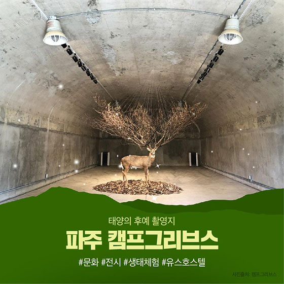 꼭 가보고 싶은 비무장지대(DMZ) 평화관광 여행지는?