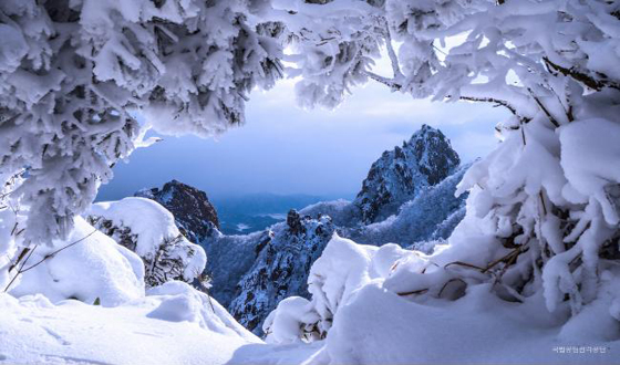 눈이 장관을 이룬 국립공원의 모습.
