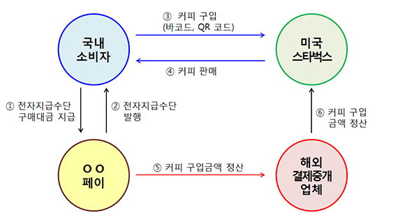 전자지급수단 활용 해외 결제 구조도. (표=기획재정부)