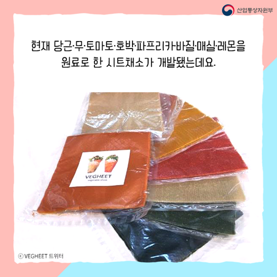 김처럼 말아먹는 종이채소 나왔다