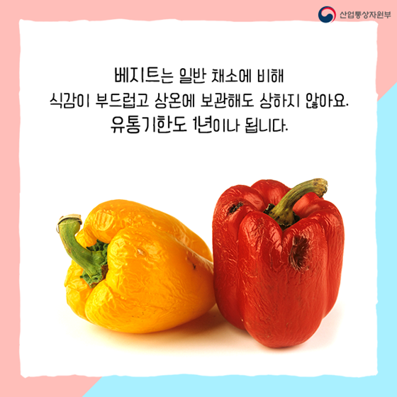 김처럼 말아먹는 종이채소 나왔다