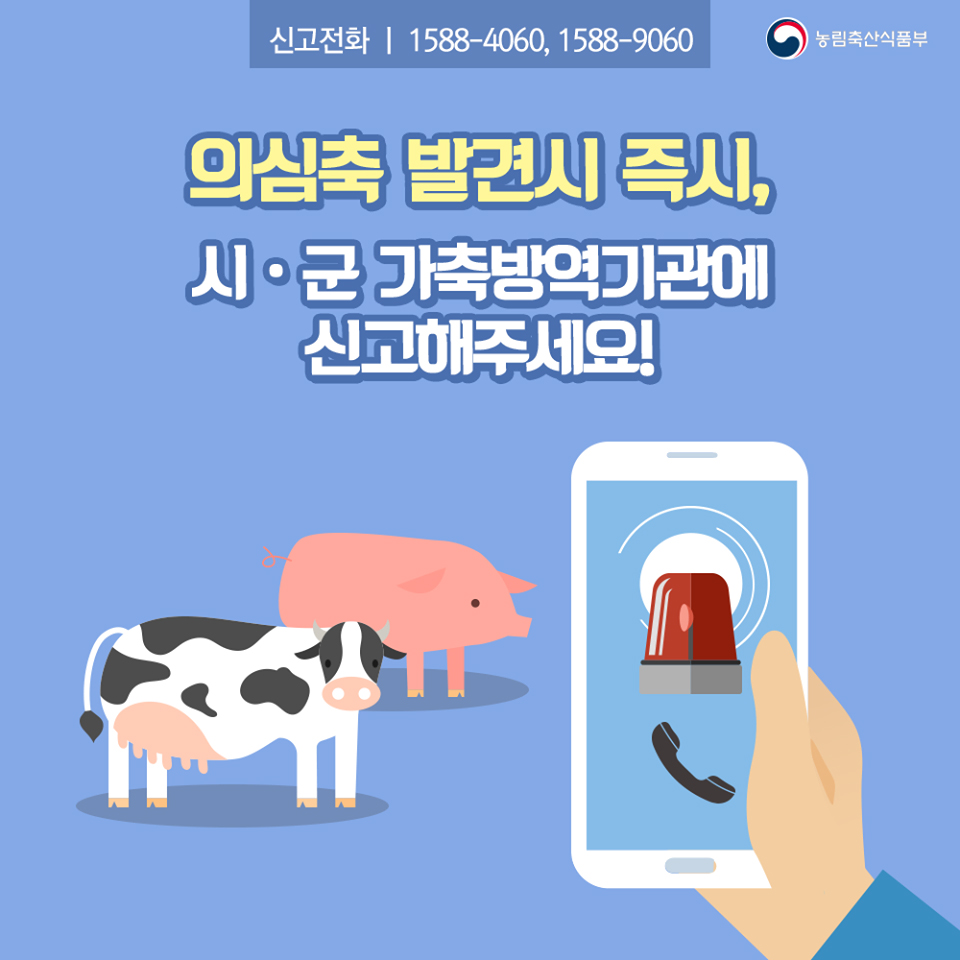 꼼꼼 이미지
