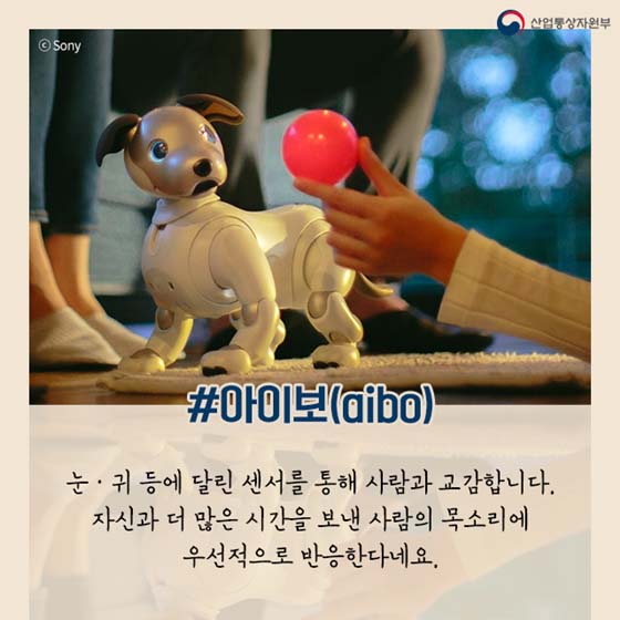 외로움도 돈이 된다?