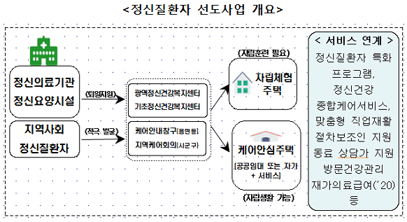 선도사업 개요