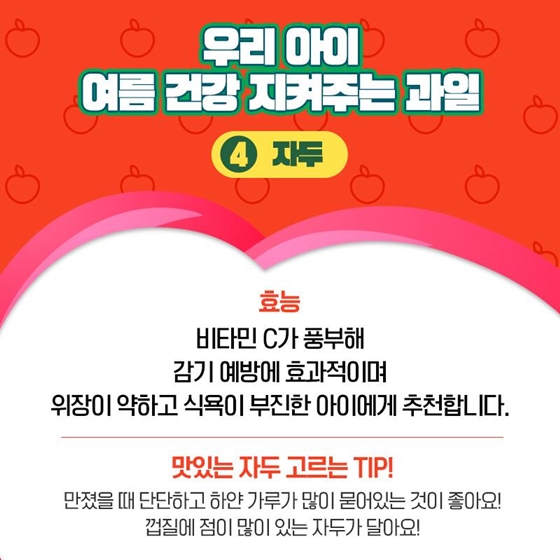 과일을부탁해 이미지