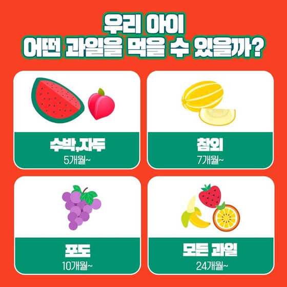 과일을부탁해 이미지