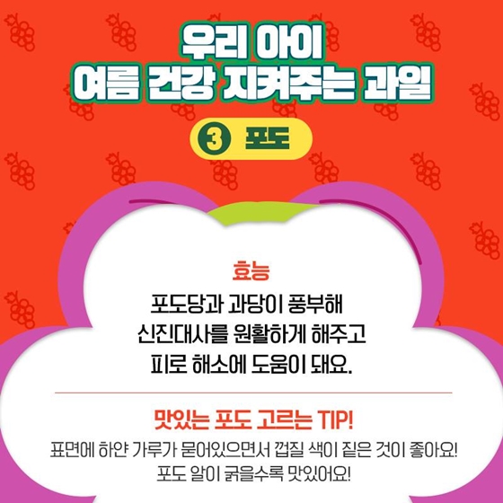 과일을부탁해 이미지
