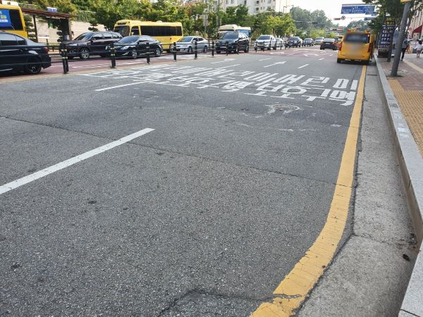 어린이 보호구역 내 주정차된 차량들