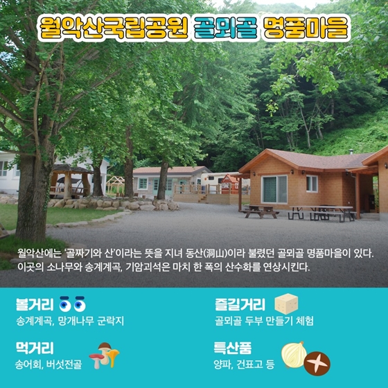 명품어때 이미지