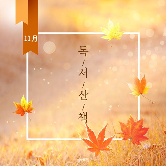 낙엽과 함께 짙어진 가을, 11월의 독서산책