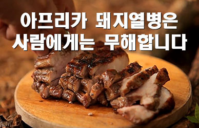 저녁한끼 돼지고기 어떠세요?
