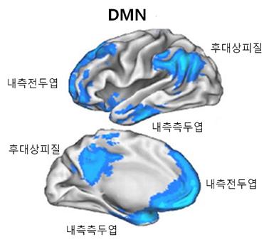 뇌의 DMN 부분.