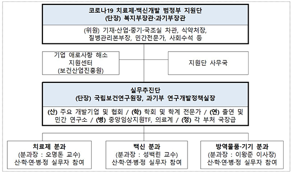 범정부 지원단 구성 및 역할.