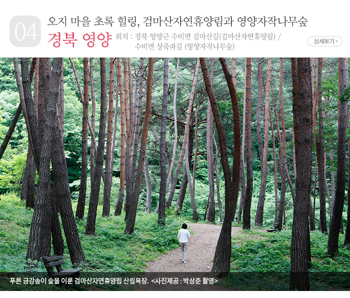 오지 마을 초록 힐링, 검마산자연휴양림과 영양자작나무숲 - 경북 영양군